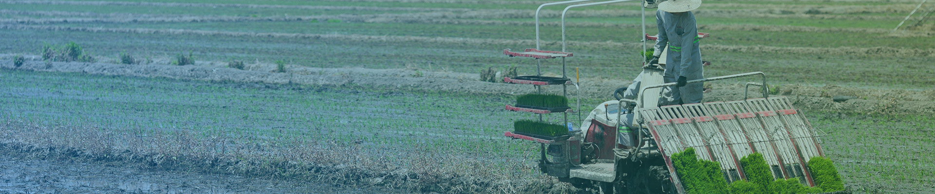 農(nóng)業(yè)畜牧banner