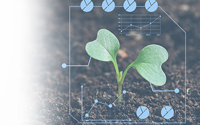 農(nóng)業(yè)畜牧圖